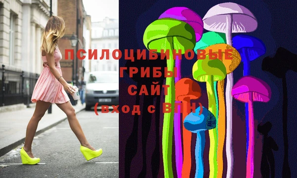 метадон Алексин