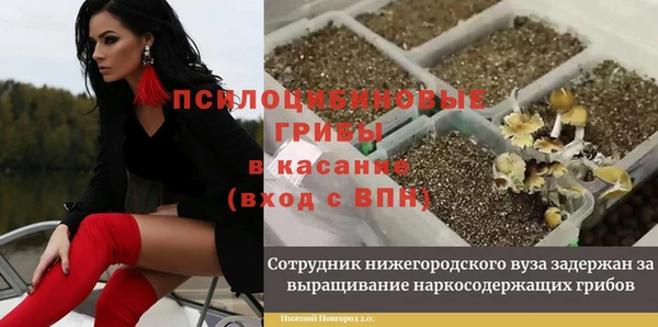 метадон Алексин