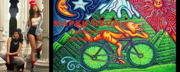 метадон Алексин