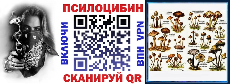 Псилоцибиновые грибы Psilocybe  Апрелевка 